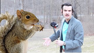 Interviewing Squirrels