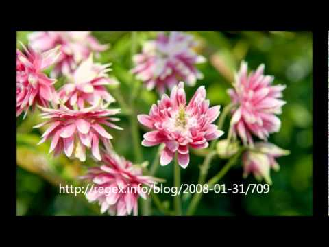 انا خوفي عليك زياد برجي