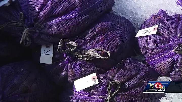 Farmers and businesses deal with crawfish shortage after summer drought