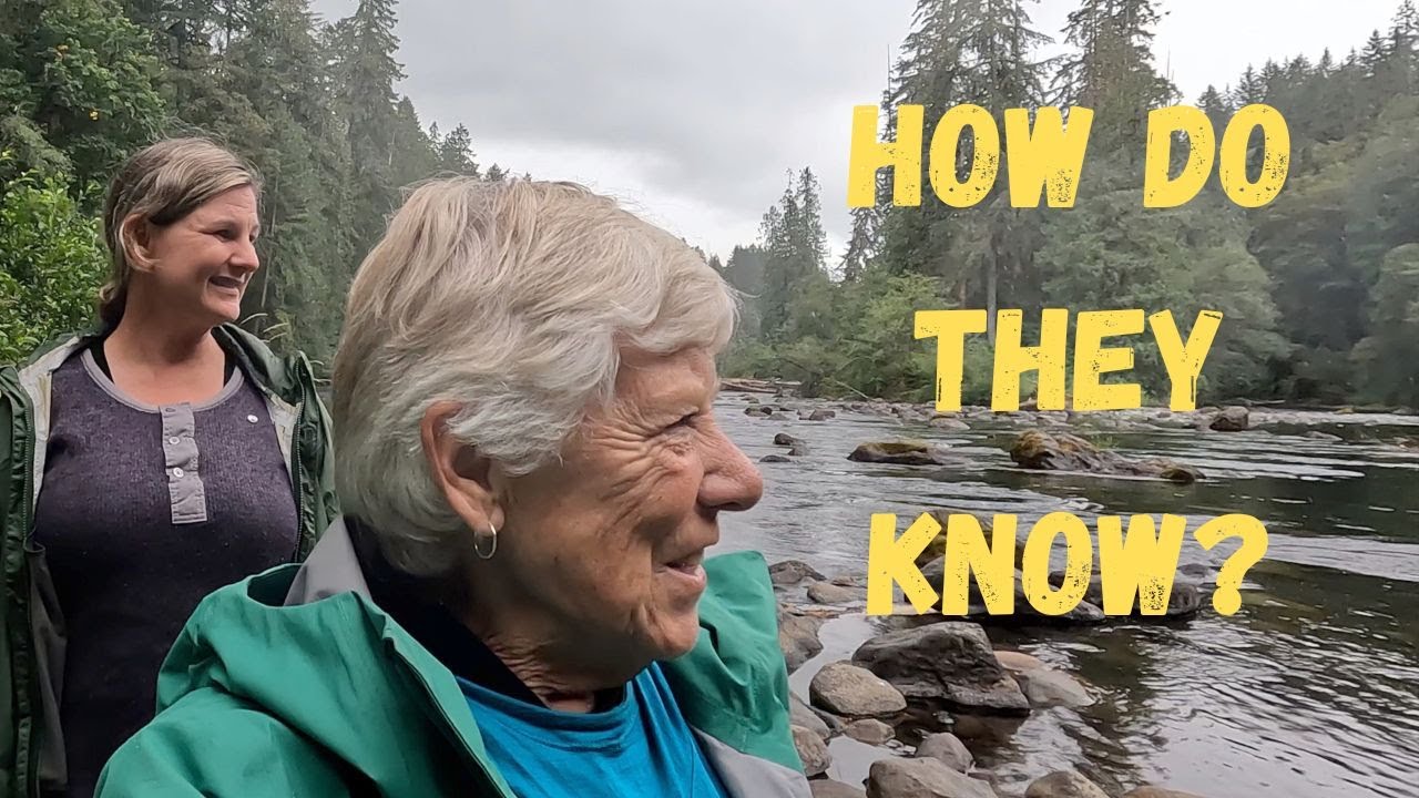 How Do They Know? The wonder of how salmon find their way home.
