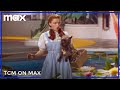 TCM on Max