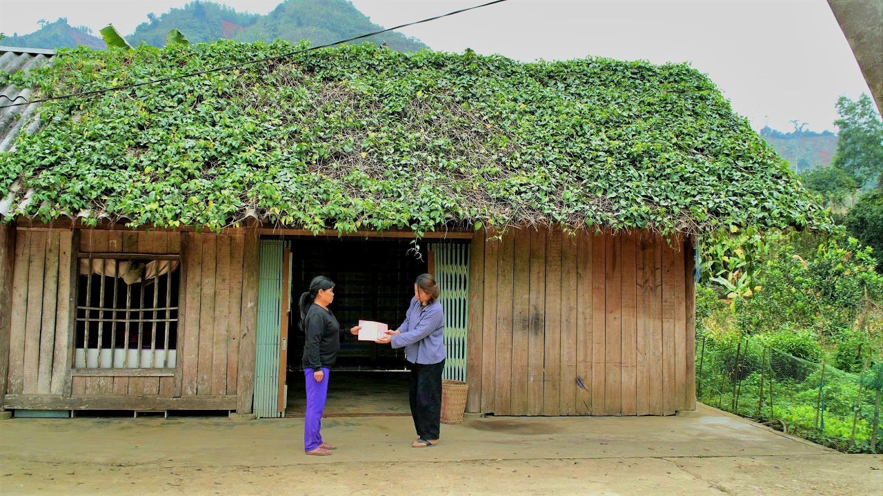 Has the $1,000 Land Really Become Mine? | Episode 11