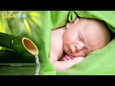 Children fall asleep in 3 minutes to the sound of water flowing from bamboo! Check!