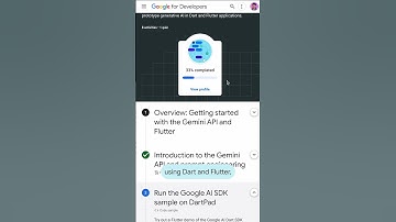 Gemini API has a Dart SDK?!