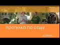 Прогулки по саду.  Ла Гранха