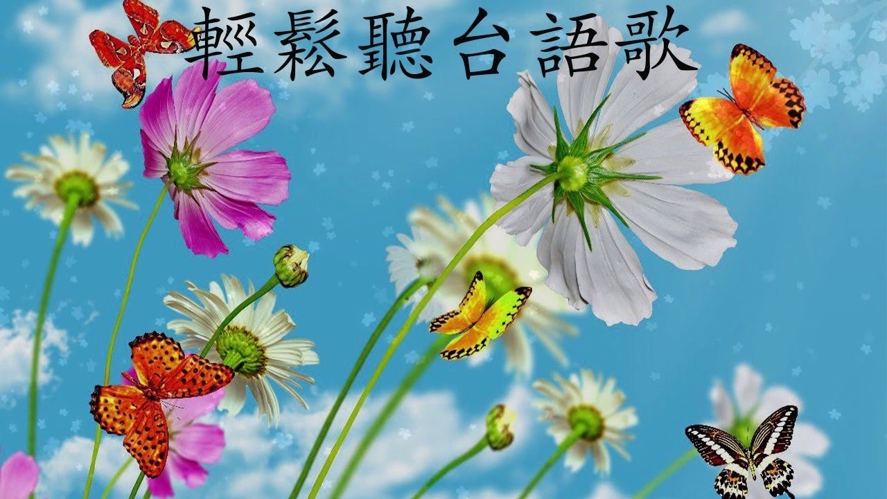 太美了 🎶 電子琴演奏👍电子琴100首好听歌曲【 3D環繞立體聲 】劉清池特殊音樂演奏曲🎶电子琴经典老歌再现经典🎶合集·镭射双电子琴演奏🎶最好聽的電子琴 老歌輕音樂 放鬆解 飛燕大樂隊 & 劉清池