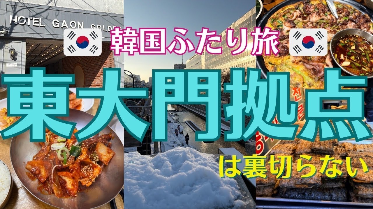 【韓国3泊4日ふたり旅①】初日から全力疾走！氷点下なのに幸福度MAX！東大門を巡ります