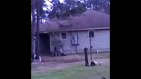 Cut tree down redneck style