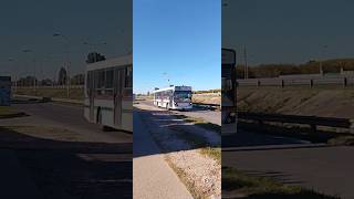 El 4 de la lobera 88 pasando por el km 47 #bondis #linea88 #ugarte #viral #fyp #paratiiiiiiiiiiiiii