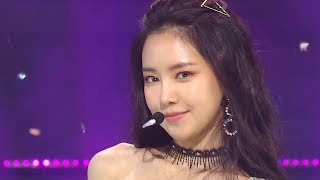 Apink - %% (Eung Eung)ㅣ에이핑크 - 응응 [SBS Inkigayo Ep 988]