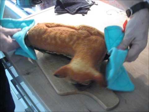 Osterlamm einfach und schnell backen | Doovi