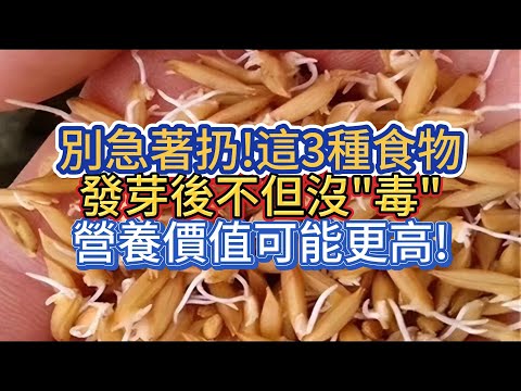 別急著扔!這3種食物發芽後不但沒"毒"，營養價值可能更高!