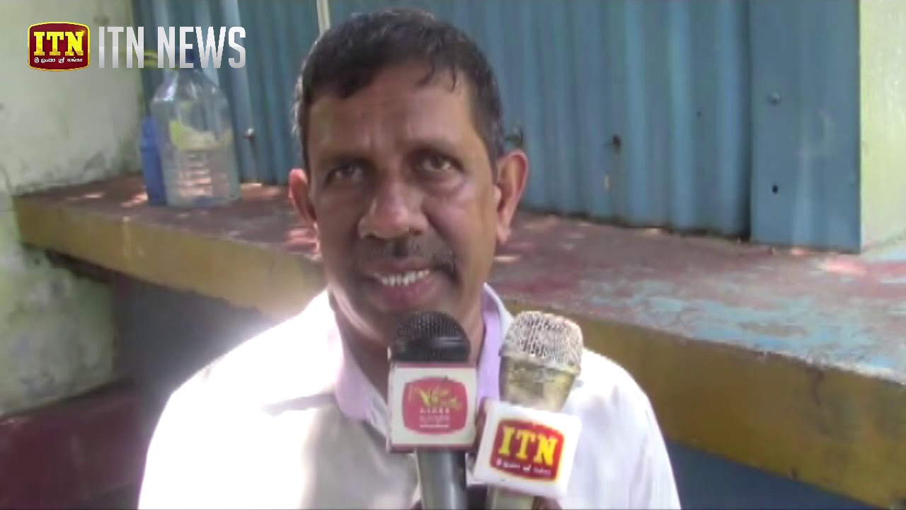 වලව කලාපයේ වී මිලදී ගැනීම ඇරඹෙයි - YouTube