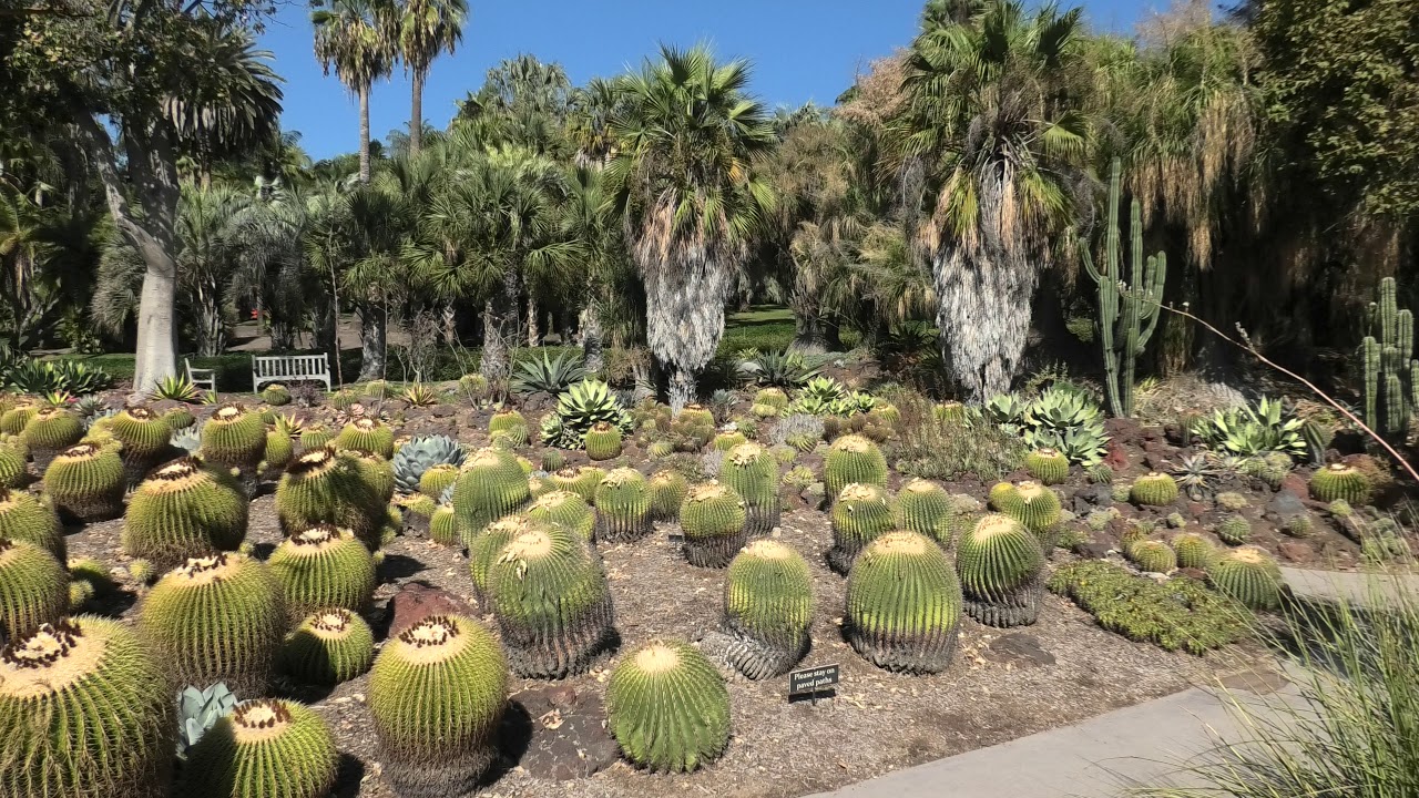 Huntington Library And Botanical Gardens In Pasadena Youtube