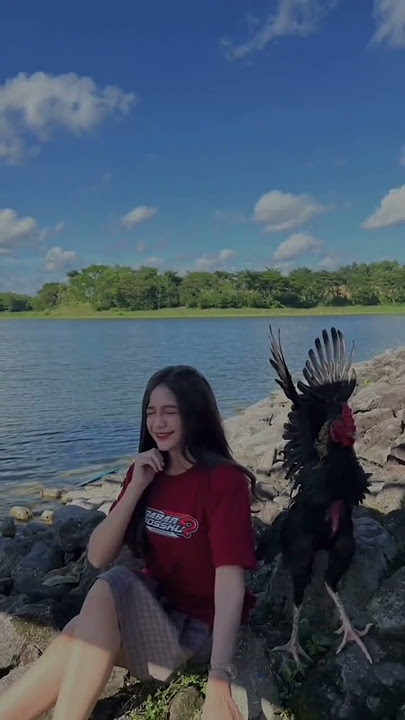 cewek cantik pengohobi ayam#shorts #ayamkampung #ayam