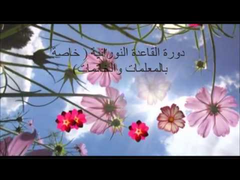 مركز ام حبيبة الصيفي العاشر