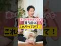 散歩30分に匹敵する遊び！？#犬のいる暮らし #dog #犬