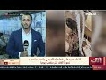 الآن | 2026-08-11