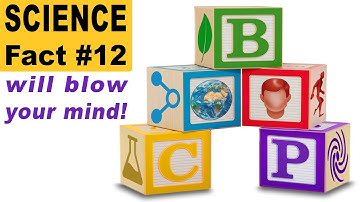 25 verbluffende wetenschappelijke feiten die u nog niet wist... of toch wel?