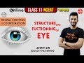 Neural Control and Coordination L- 4 | Eye Structure and Function | Class 11 Biology Chapter 21