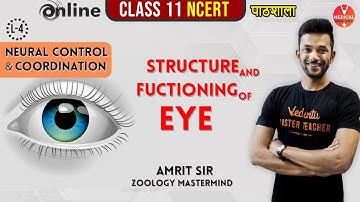 Neural Control and Coordination L- 4 | Eye Structure and Function | Class 11 Biology Chapter 21