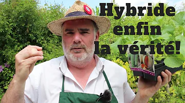 C'est quoi une plante hybride ?