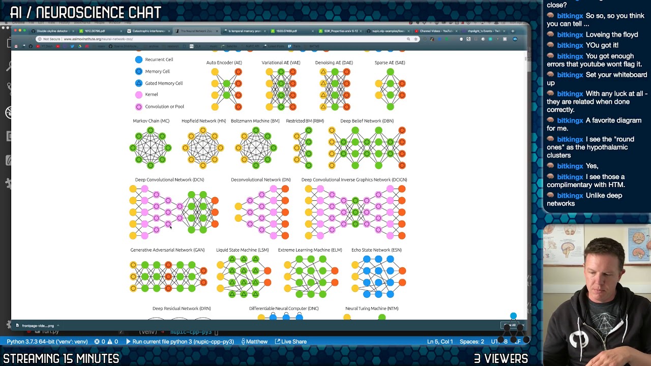 AI / Neuroscience Chat - Catastrophic Forgetting