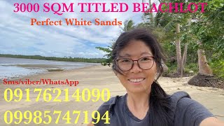 Vlog518: 3000 SQM BEACHFRONT PROPERTY WITH SUPERB WHITE SANDS FOR SALE IN CALAUAG QUEZON PHILIPPINES