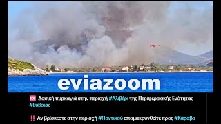 EviaZoom.gr - Νέα πυρκαγιά στην Εύβοια: Φωτιά σε οικισμό στο Αλιβέρι... (13-07-2025)