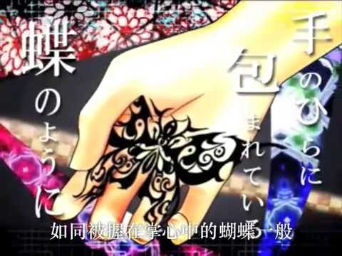 【ぽこた】paranoid doll 歌ってみた　中文字幕