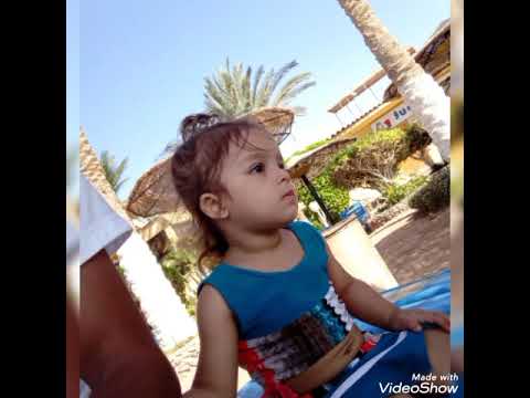جوسيل العسسسسل