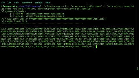 Fastest method for exploiting Boolean Blind SQL Injections - sql-anding.py