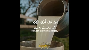 🥛لبنا خالصا سائغا للشاربين✨سورة النحل: ٦٦|الشيخ عبدالرحمن السديس|Surah An Nahl:66|Sheikh Sudais