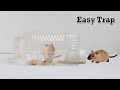 Easy Mouse Trap/Rat Trap | Mole Trap