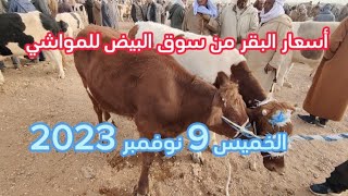 أسعار البقر من سوق المواشي بالبيض الخميس 9 نوفمبر 2023