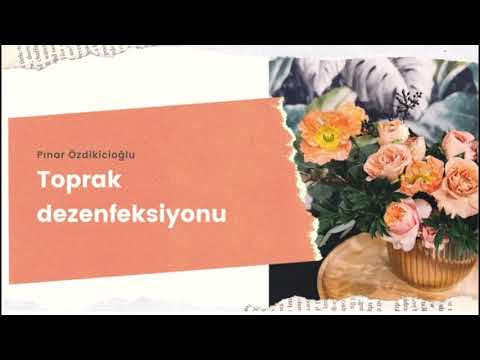 Video: Toprak Nasıl Dezenfekte Edilir