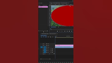 Damage in Video Games in Premiere Pro ✅ #premiereprotutorial #premiereproedit #premiereproeffects