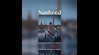 Nasheed || Firdous Of Rahman Is Shadows|| فردوس الرحمن طلا