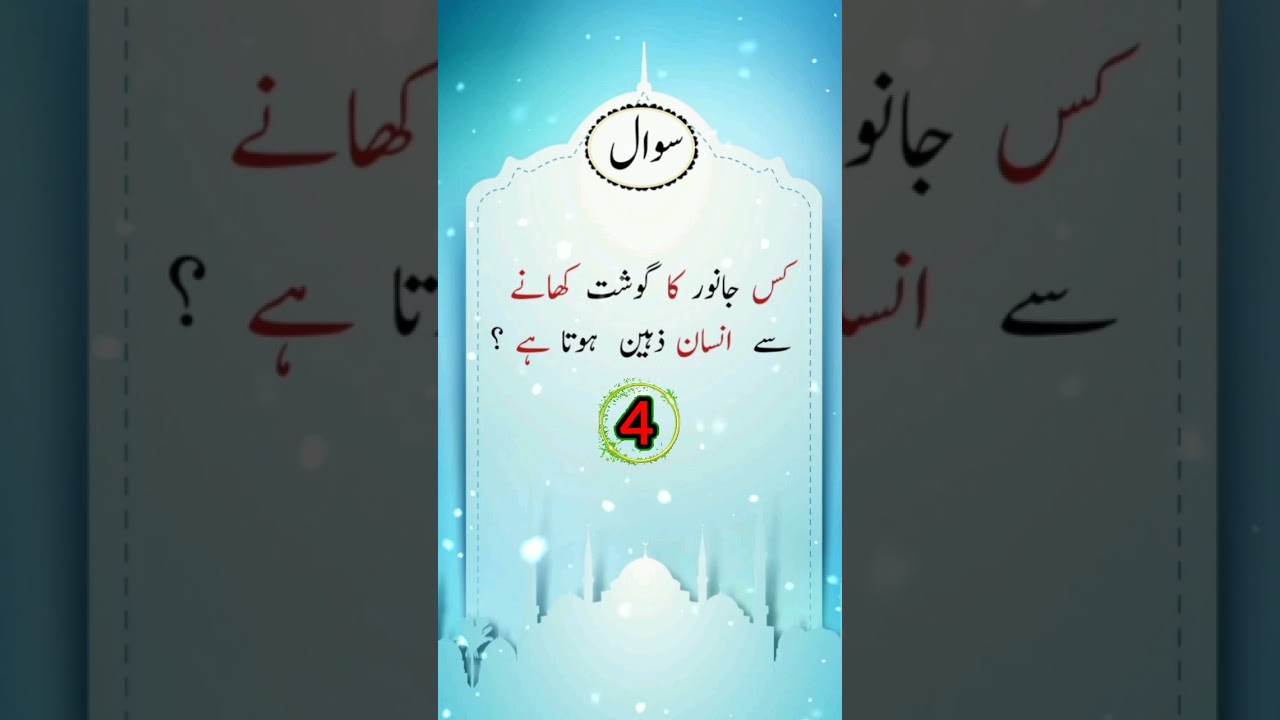 gk Islamic riddle||gk Islamic quiz||gk quran riddles