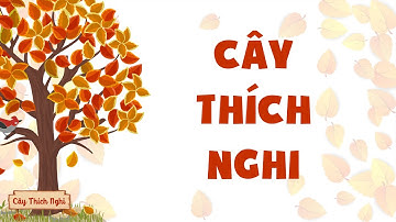 CÂY THÍCH NGHI - BIỂU TƯỢNG CỦA NĂNG LỰC SỐNG THÍCH NGHI VỚI MỌI HOÀN CẢNH | CHIẾN BINH TỰ LẬP