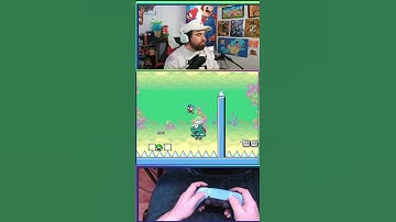 Shelltopia Dino shell