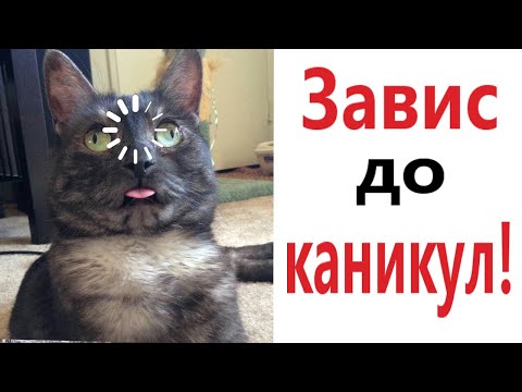 Лютые приколы. ЗАВИС ДО КАНИКУЛ!!! САМОЕ смешное видео! Засмеялся проиграл! - Domi Show!