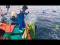 Así se Pescan los Peces Dorados con Peces Voladores - Pesca en Alta Mar