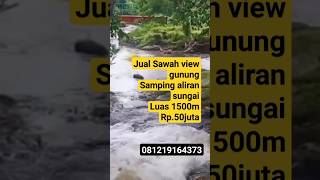 TerJual tanah murah Aliran Air sungai View Gunung Luas 1500meter Rp 50juta  13JULI2023  #shorts