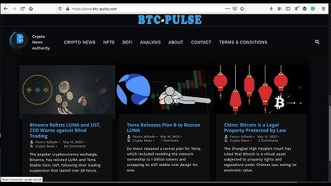How I made a Crypto News Website with Wordpress | Web Development   NFT
