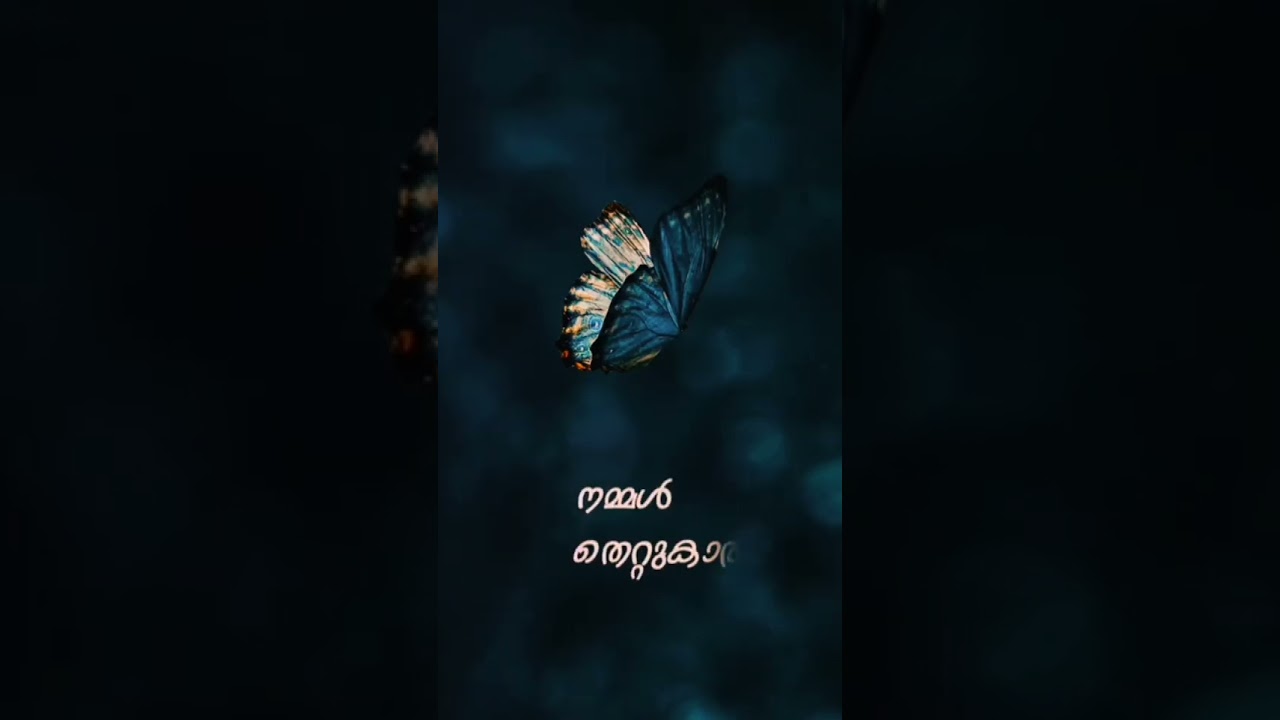 Sad whatsapp status | alone | hear touching | love 