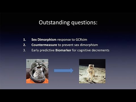 Impact of Deep Space Radiation on Cognitive Performance
