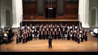 Stars I Shall Find - David Dickau