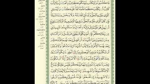 المصحف المرتل برواية حفص عن عاصم الصفحة رقم 48 #القرآن_الكريم #اكسبلور #المصحف #تيك_توك
