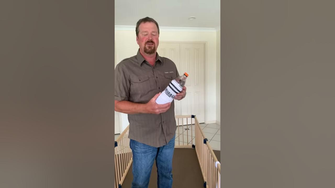 kiddy Cots playpen YouTube